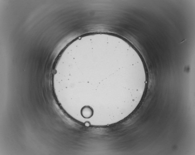 X0000115111293200911171256