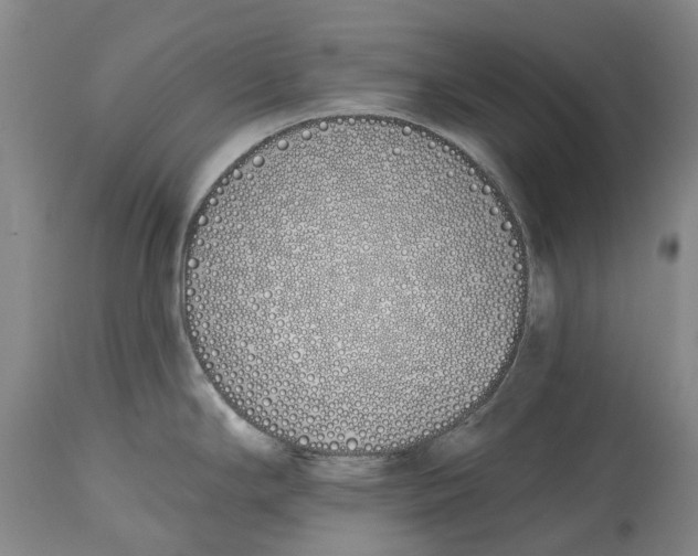 X0000115111294200911171256