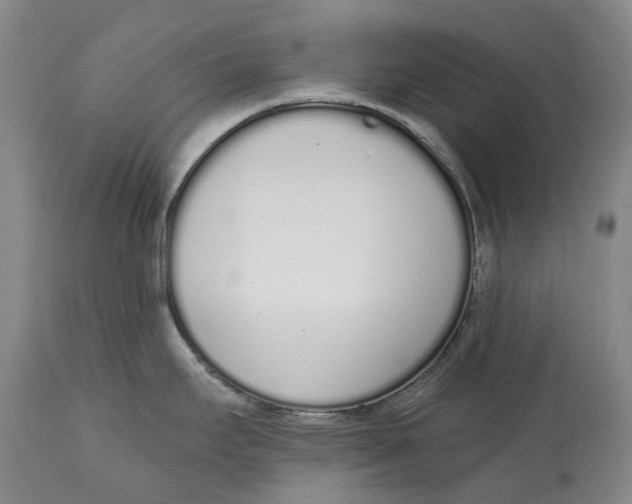 X0000115111295200911171256