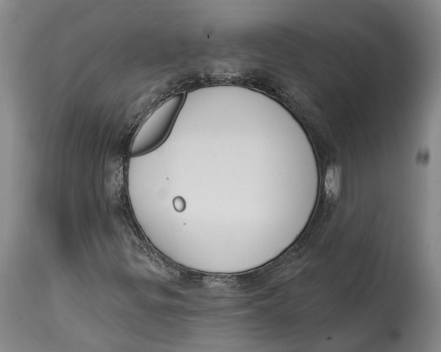 X0000115111299200911171255