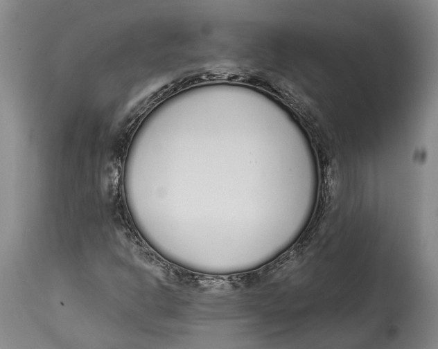 X0000115111302200911171255