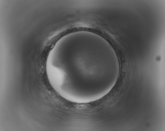 X0000115111303200911171255