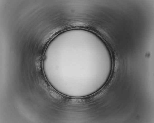 X0000115111305200911171255