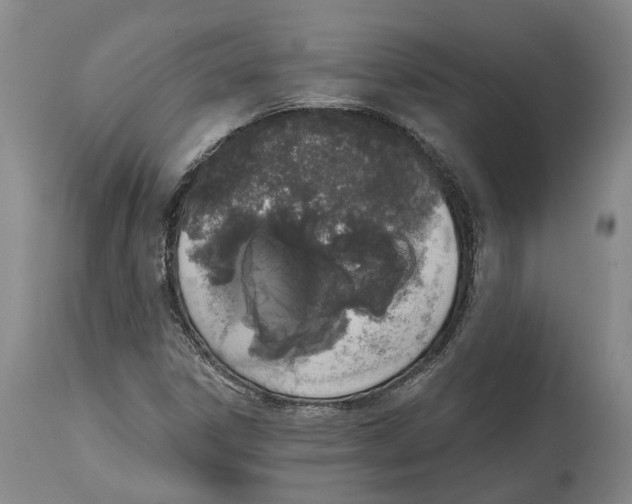 X0000115111306200911171255