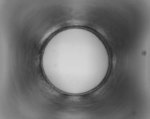 X0000115111309200911171256
