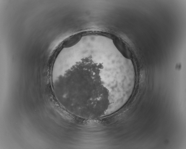 X0000115111310200911171256
