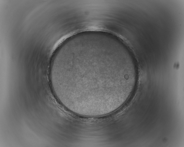 X0000115111314200911171256