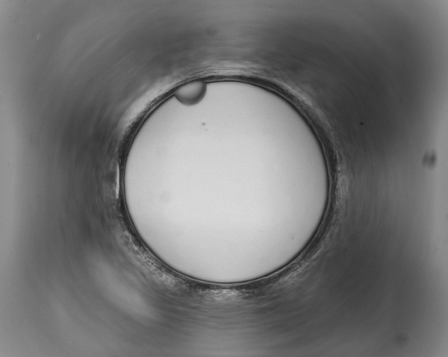 X0000115111317200911171256