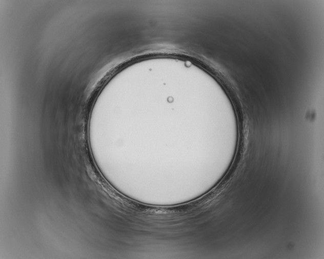 X0000115111318200911171256