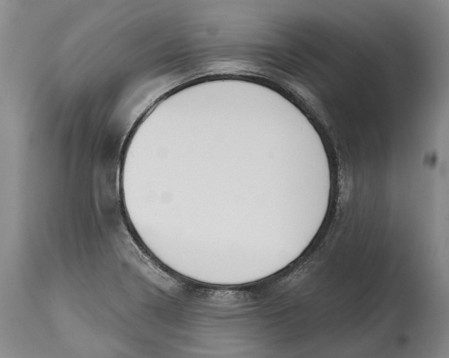 X0000115111322200911171256