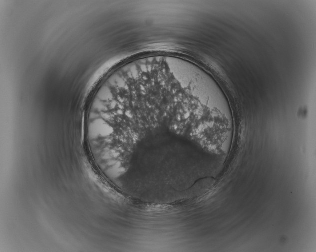 X0000115111323200911171256