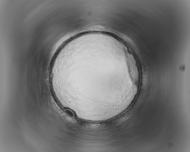 X0000115111326200911171256