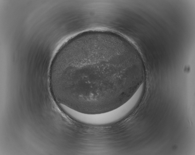 X0000115111327200911171256