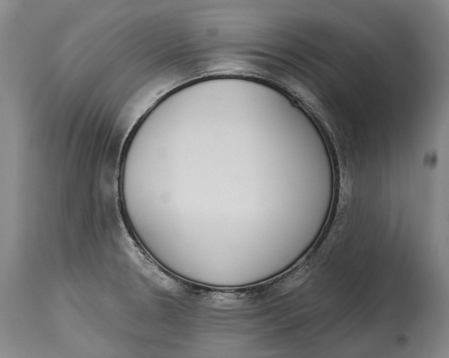 X0000115111330200911171256