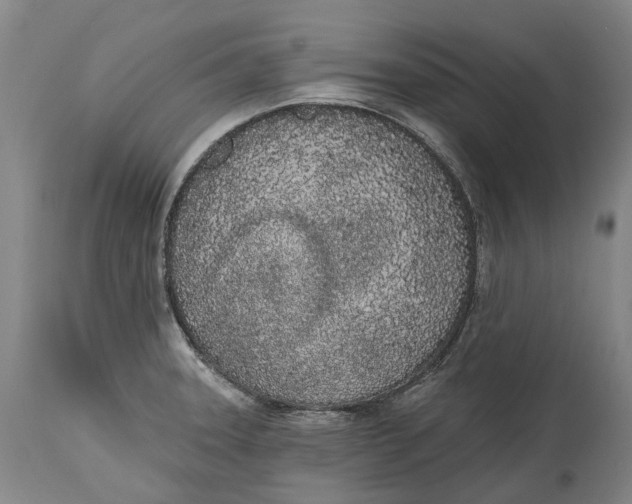 X0000115111331200911171256