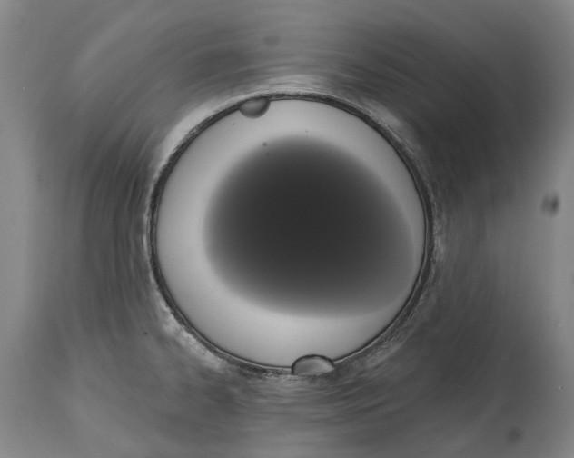 X0000115111334200911171256