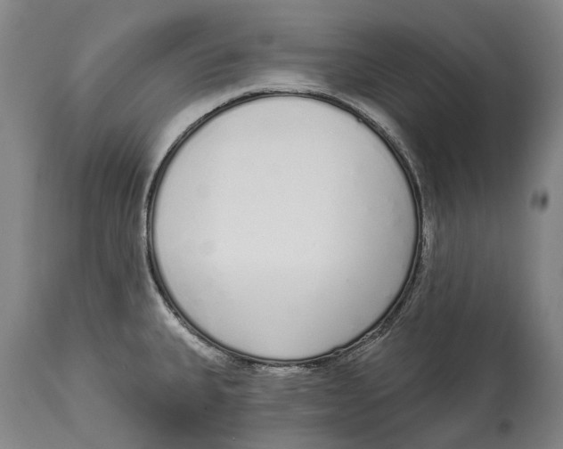 X0000115111335200911171256