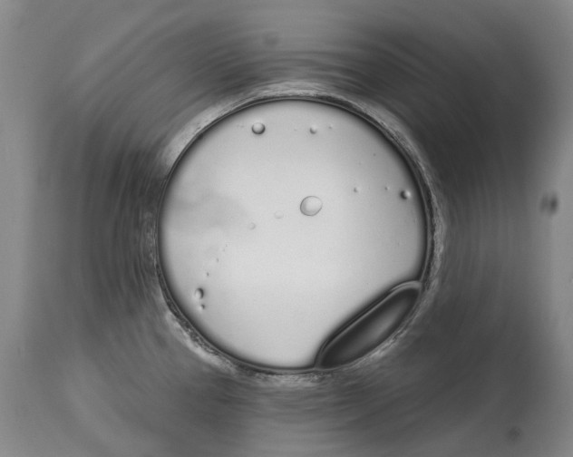 X0000115111337200911171256
