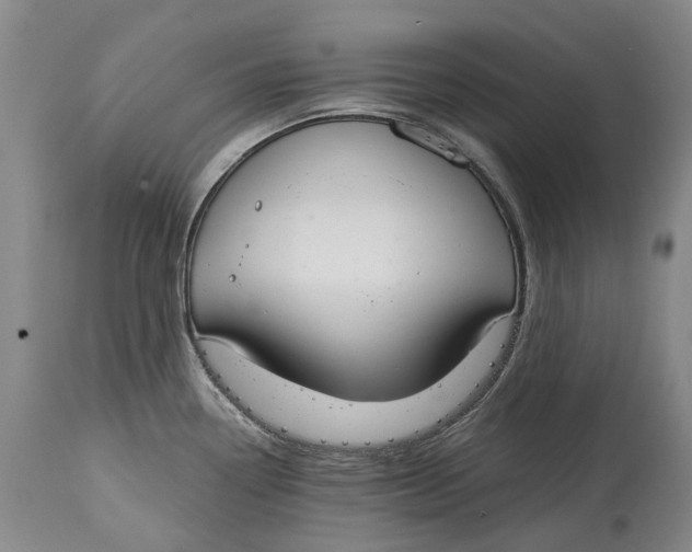 X0000115111338200911171256