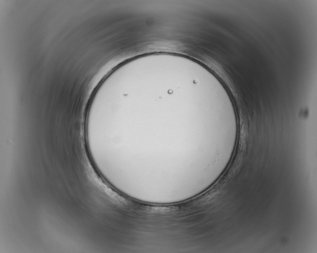 X0000115111339200911171256