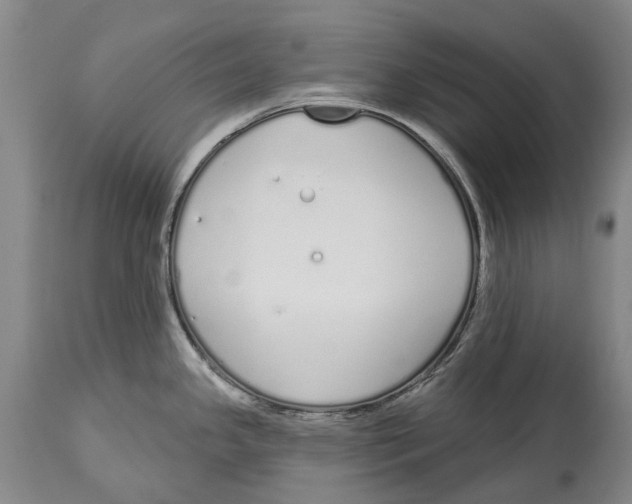 X0000115111341200911171256