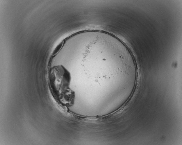 X0000115111342200911171256