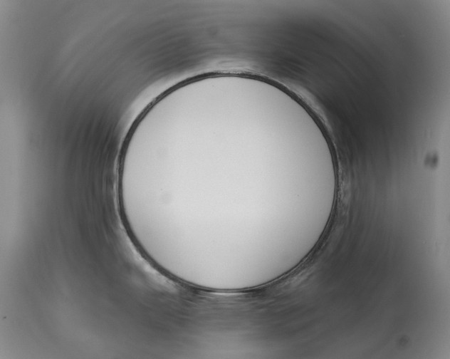 X0000115111343200911171256