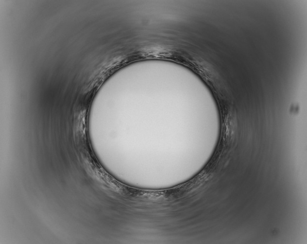 X0000115111346200911171255
