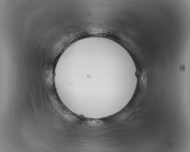 X0000115111348200911171255