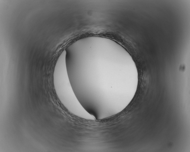 X0000115111349200911171255