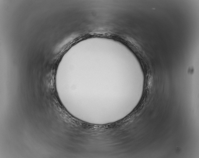 X0000115111350200911171255
