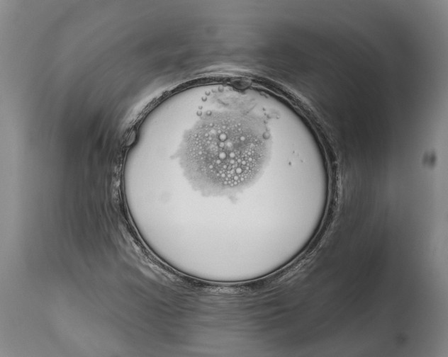 X0000115111355200911171255