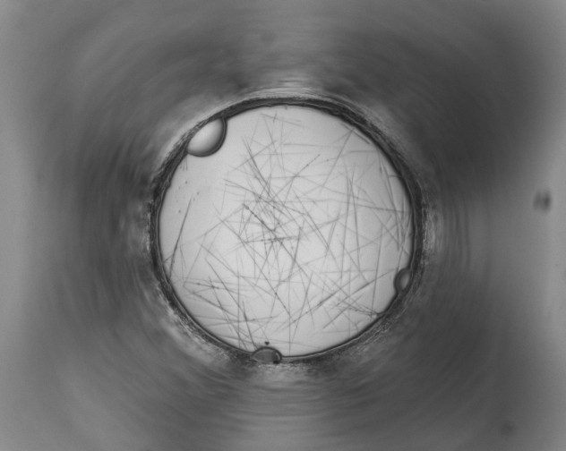 X0000115111356200911171255