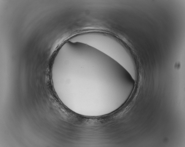 X0000115111357200911171255