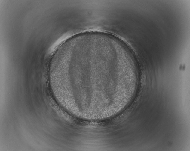 X0000115111359200911171255