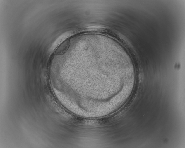 X0000115111362200911171255