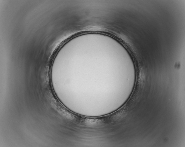 X0000115111364200911171255