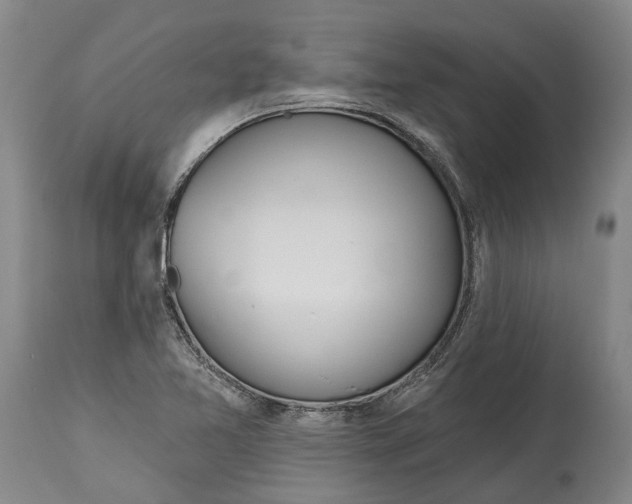 X0000115111365200911171255