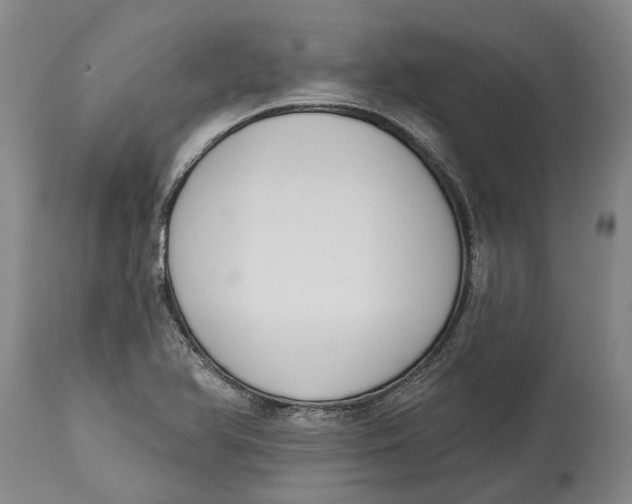 X0000115111366200911171255