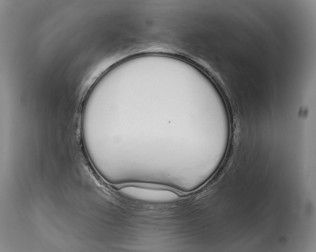 X0000115111367200911171255