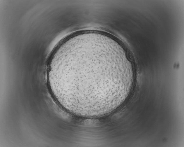 X0000115111368200911171255