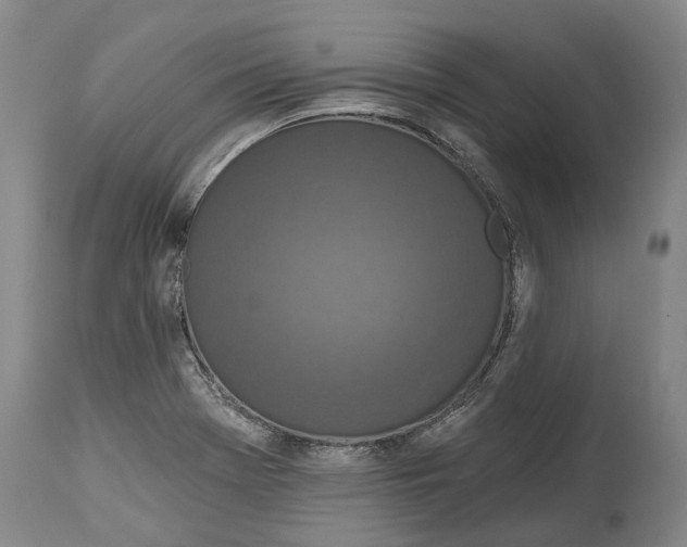 X0000115111369200911171255