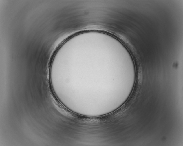 X0000115111372200911171255