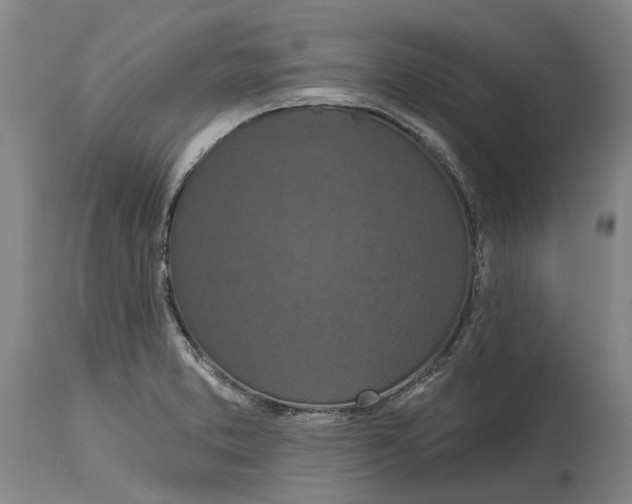 X0000115111373200911171255