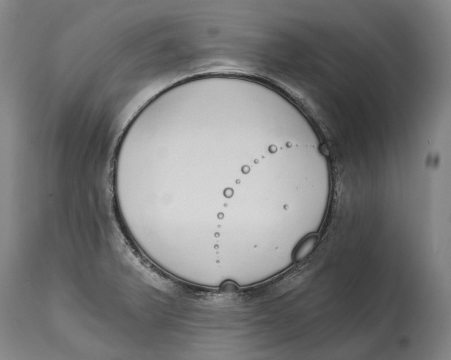 X0000115111375200911171255