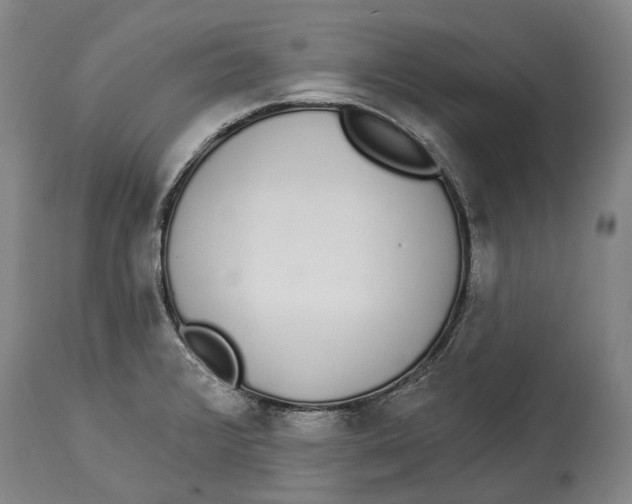 X0000115111376200911171255
