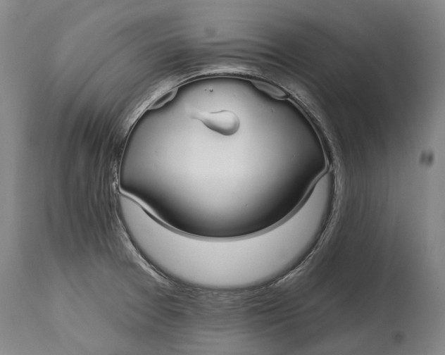 X0000115111377200911171255