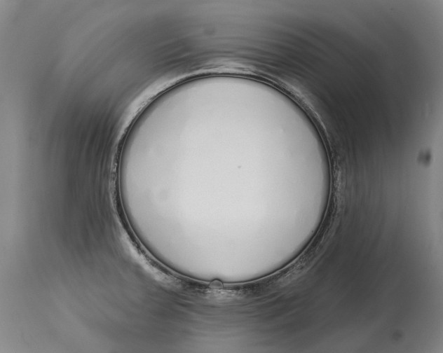 X0000115111379200911171255