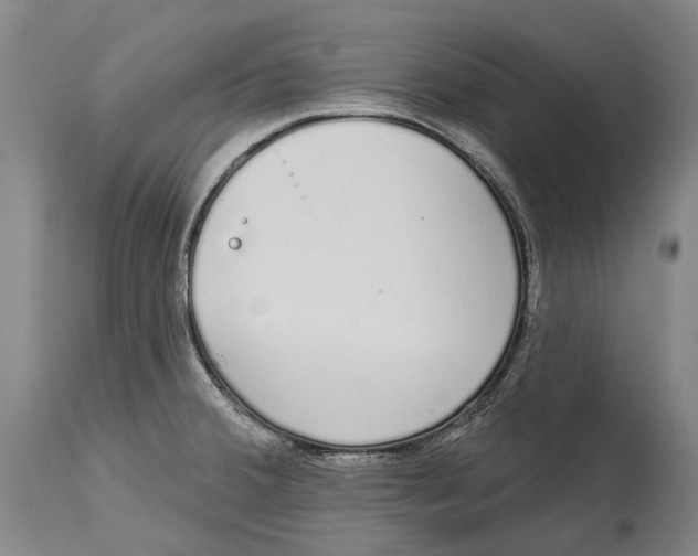 X0000115111380200911171255