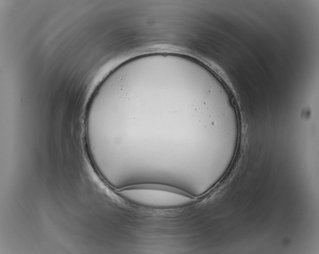 X0000115111381200911171255